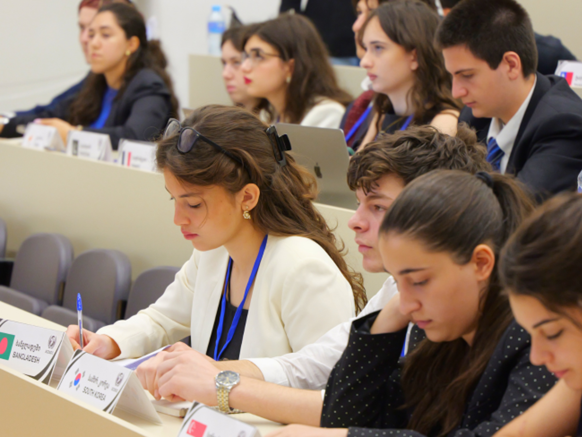 Model United Nations - General Assembly Session