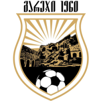 გარეჯი logo